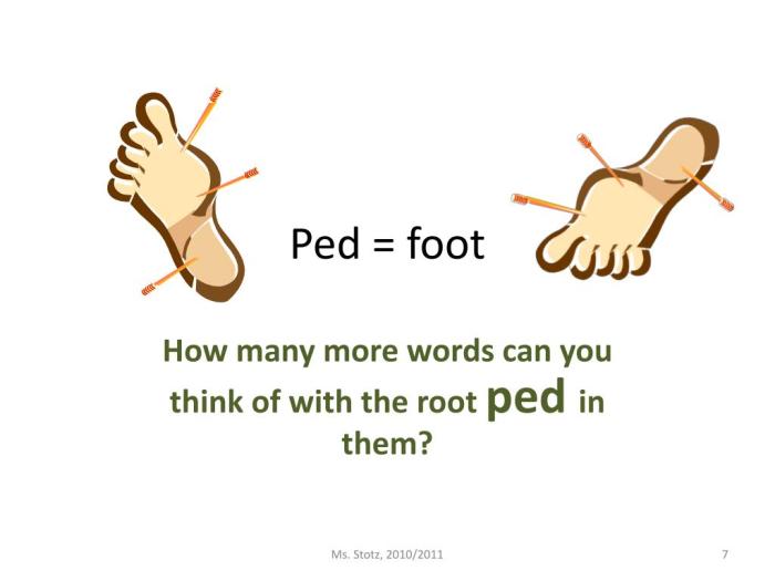 Words that have the root ped