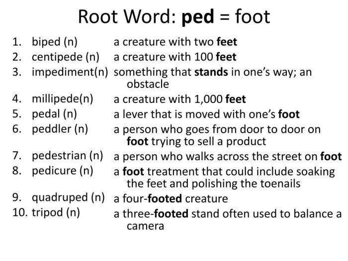 Words that have the root ped