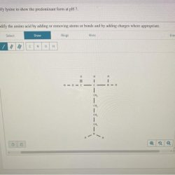 Modify lysine to show the predominant form at ph 7.