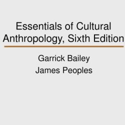 Essentials of cultural anthropology 4th edition